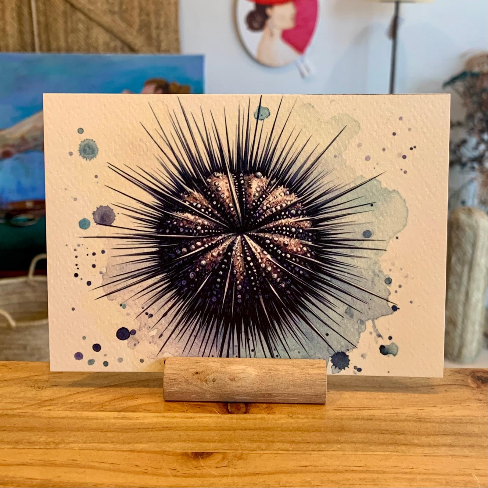 POSTAL PRINT ERIZO DE MAR