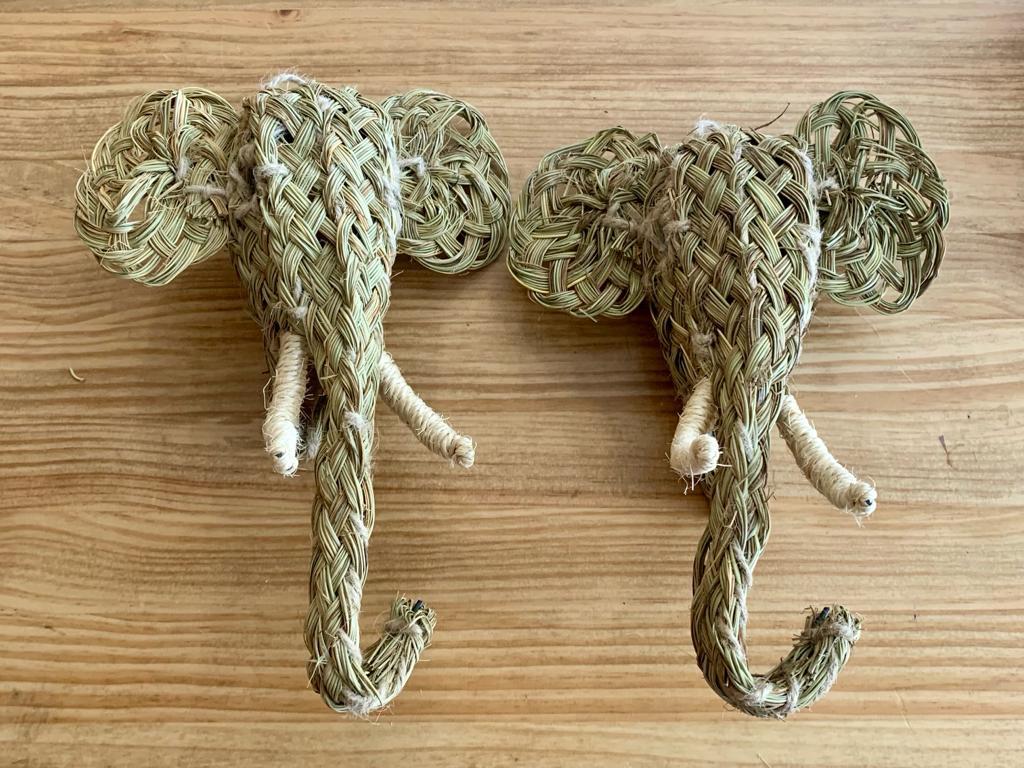 CABEZA ELEFANTE ESPARTO