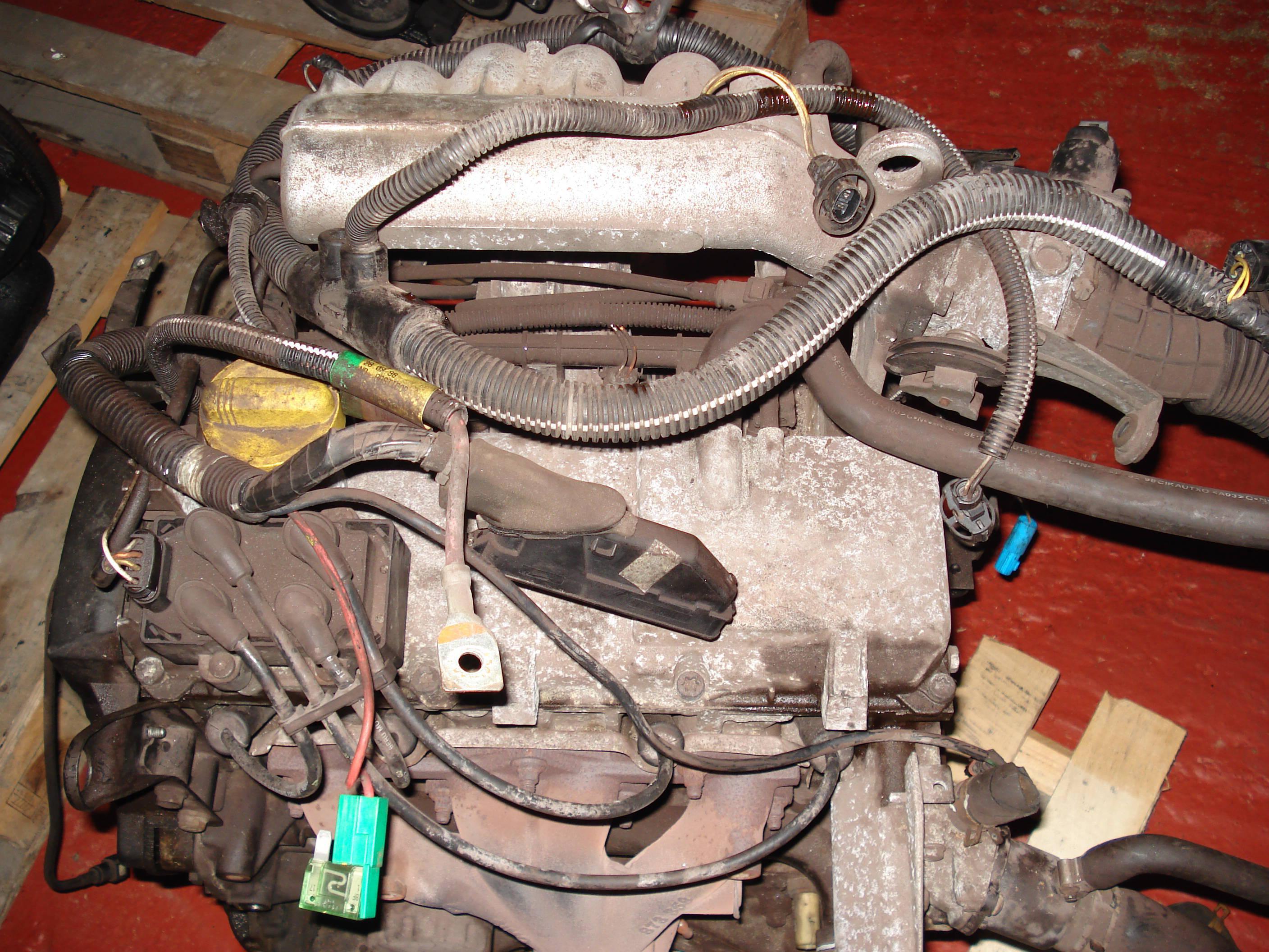 MOTOR