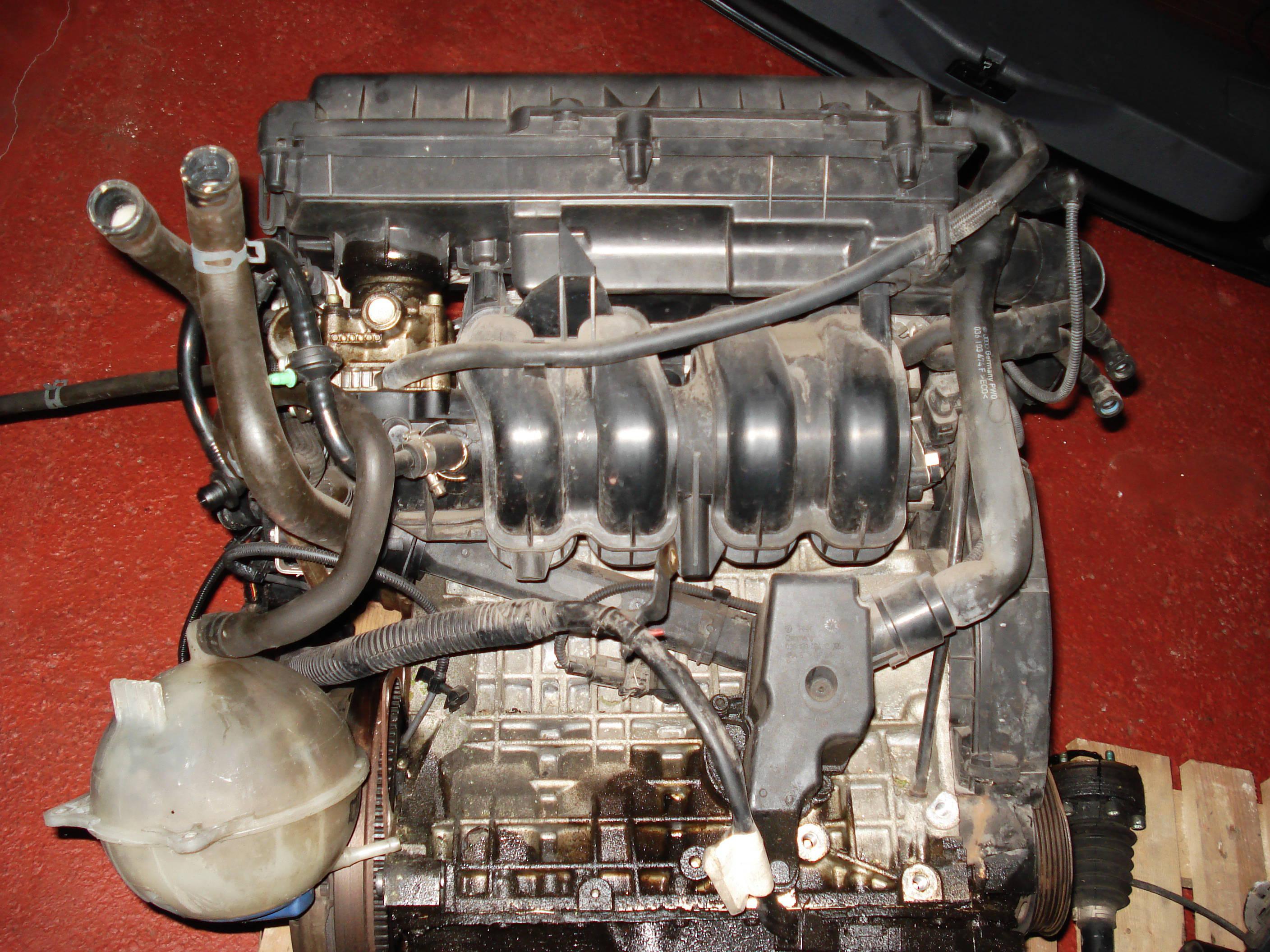 MOTOR 