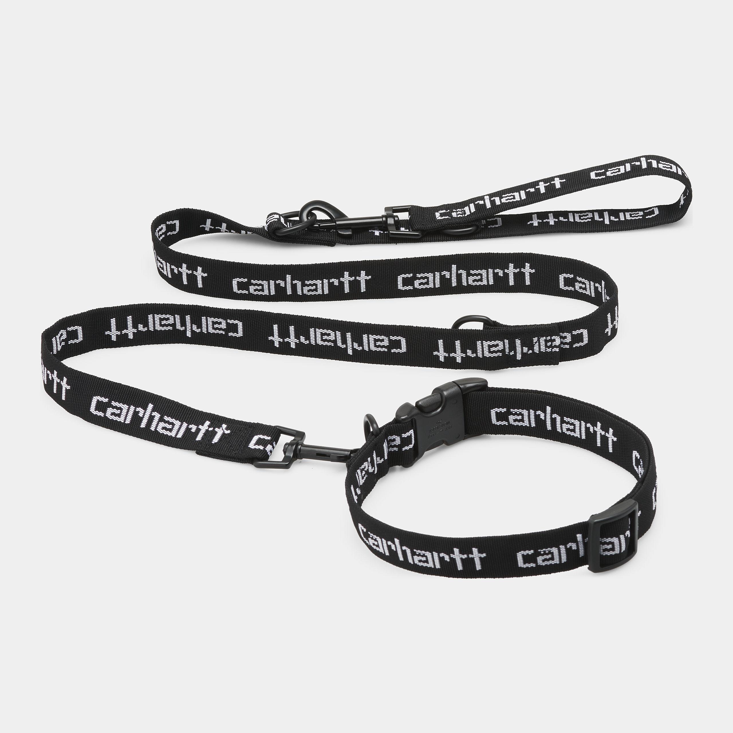 Script Dog Leash Black / White CARHARTT